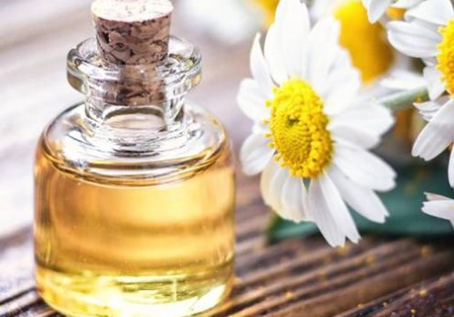 تصویر 3 از خرید و قیمت گل بابونه + فروش عمده